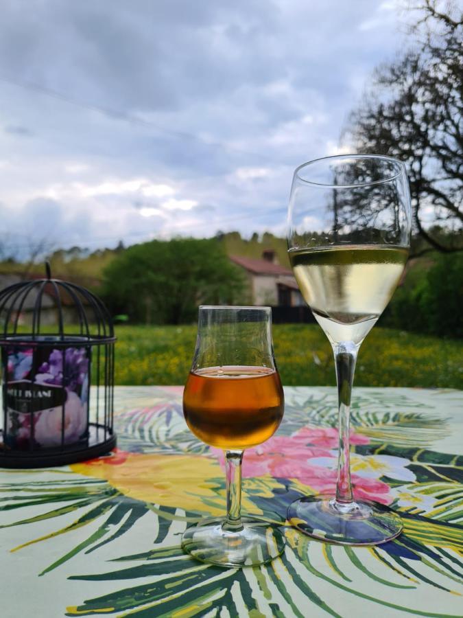 La Perle De Frayssinet-Le-Gelat - Chambre D'Hotes - B&B Dış mekan fotoğraf
